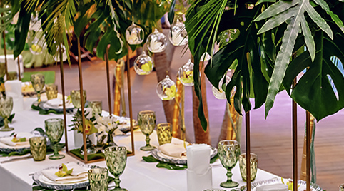 Afrikaanse tropische BBQ